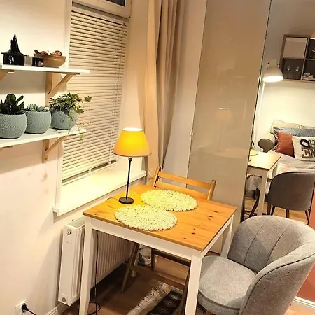 Przytulne Gniazdko Blisko Wisly Apartment Torun Exterior photo