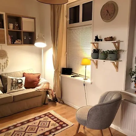 Przytulne Gniazdko Blisko Wisly Apartment Torun Exterior photo