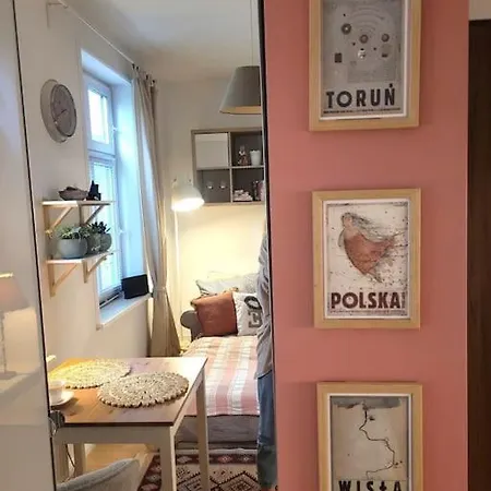 Przytulne Gniazdko Blisko Wisly Apartment Torun Exterior photo