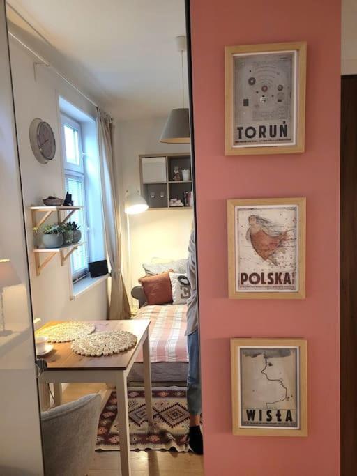 Apartment Przytulne Gniazdko Blisko Wisly *